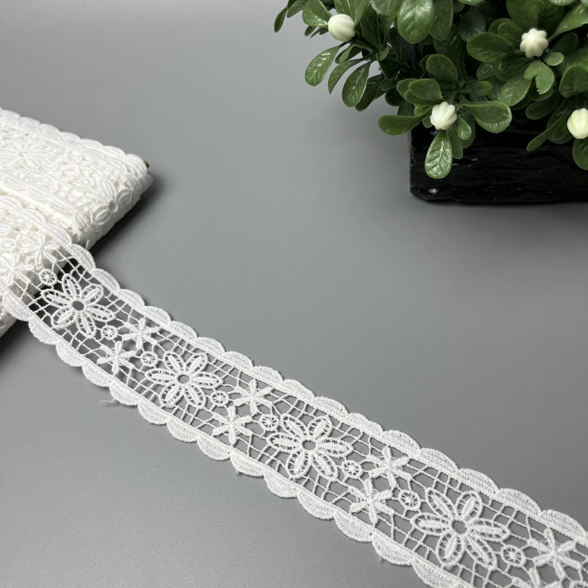Daisy Vine Scallop Milky Centre Lace White