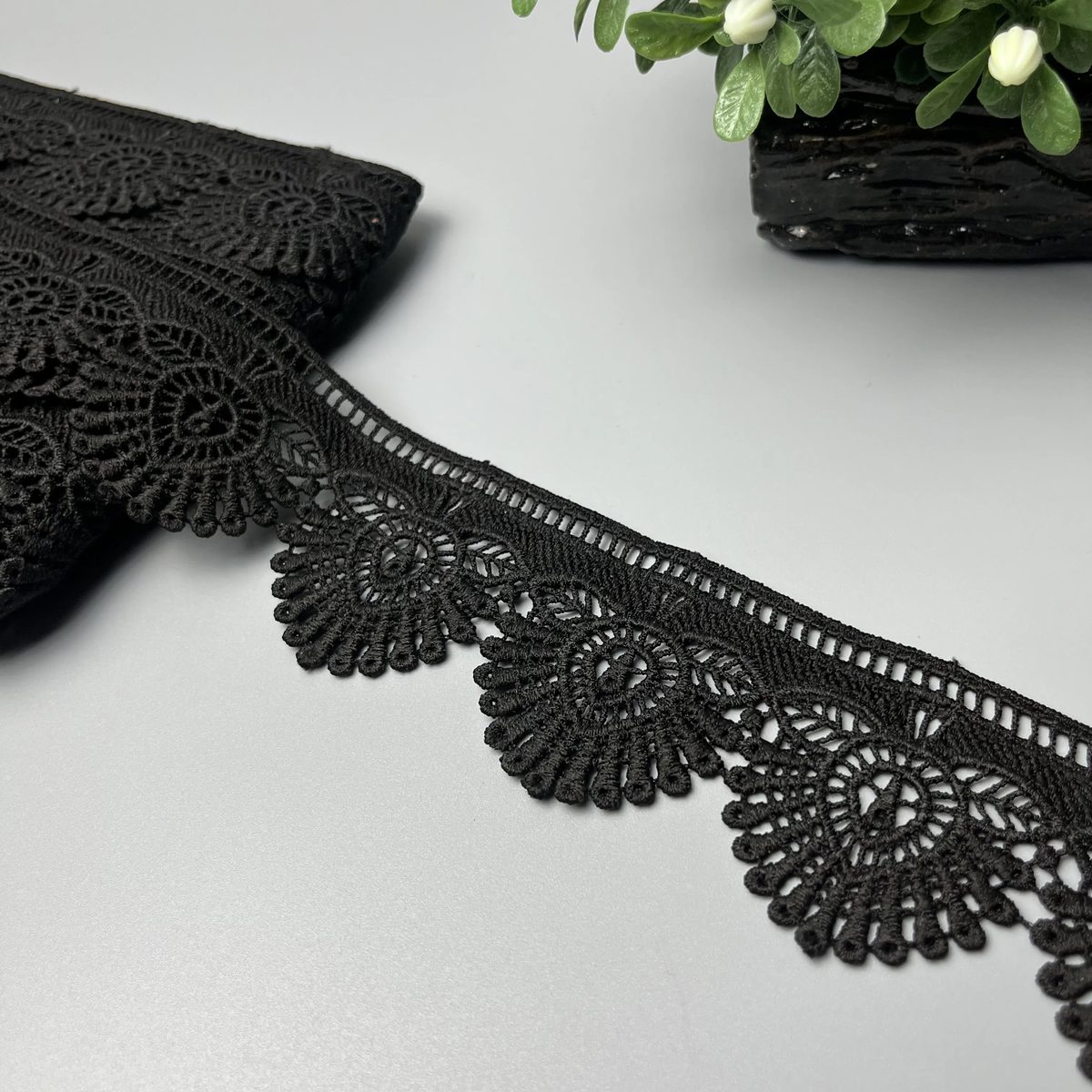 Sunburst Fan Leaf Scallop Milky Lace Black